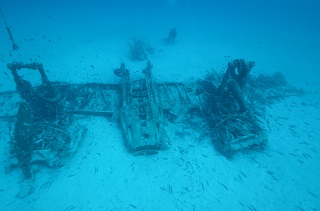 Bristol Beaufighter